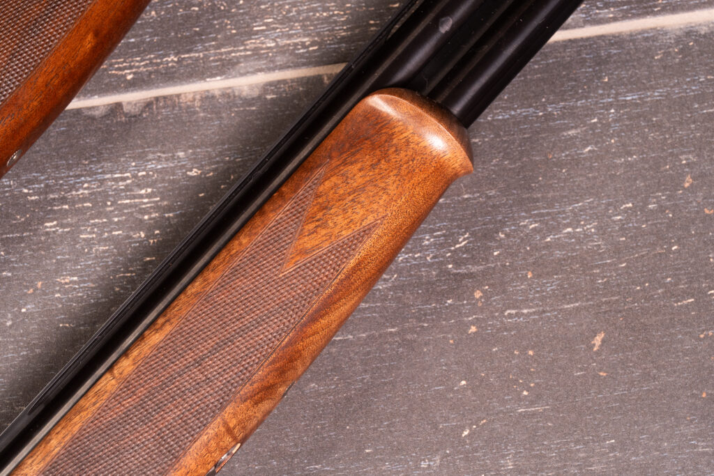 Silver Pigeon I Schnabel Forend