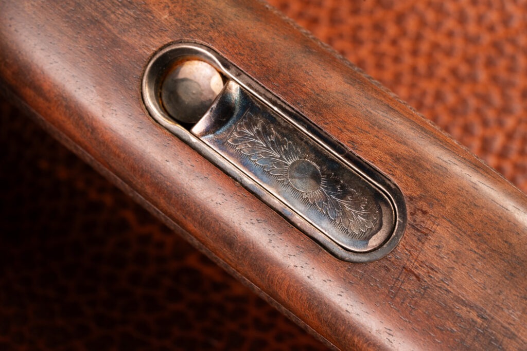 Silver Pigeon V Color-Case Hardened