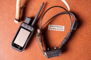 Garmin Alpha 300 bundle with Alpha TT 25 Collar